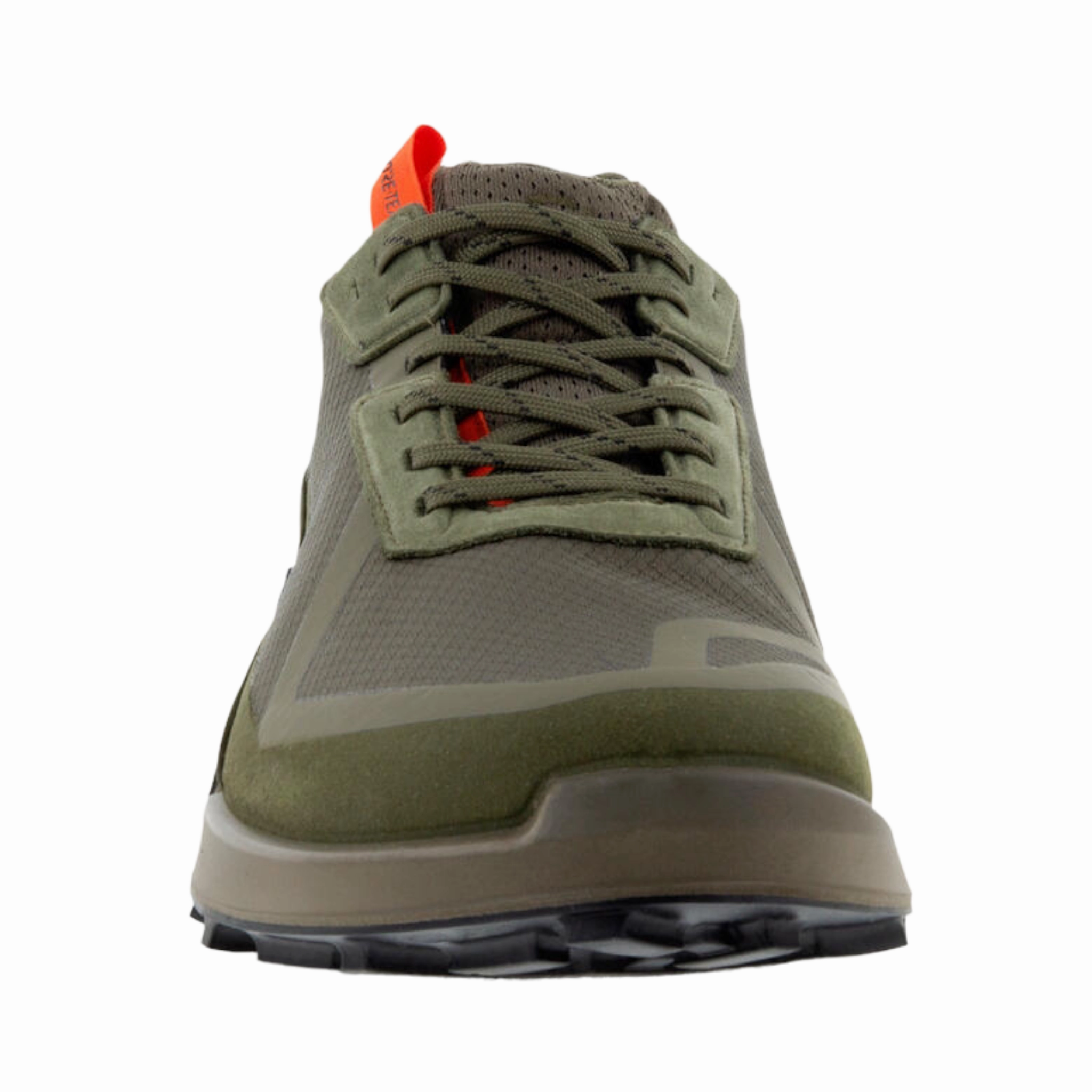 Biom 2.1 GTX Low