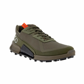 Biom 2.1 GTX Low