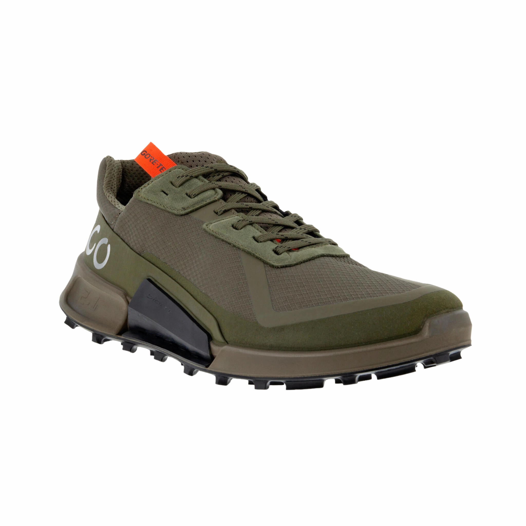 Biom 2.1 GTX Low