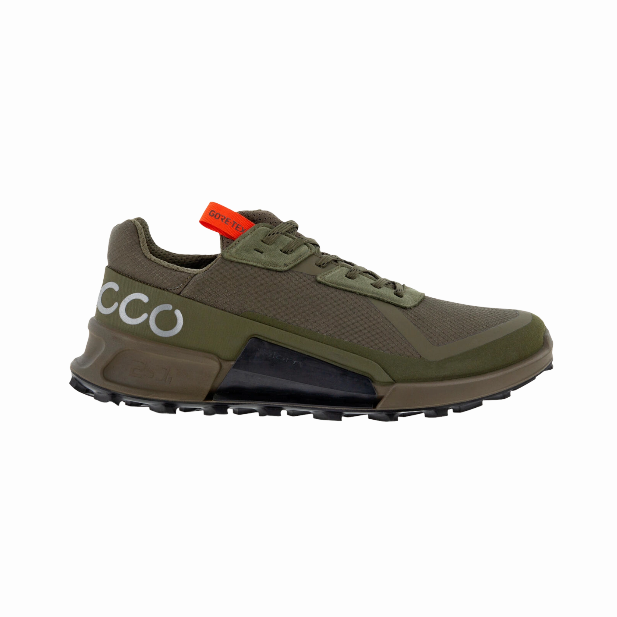 Biom 2.1 GTX Low