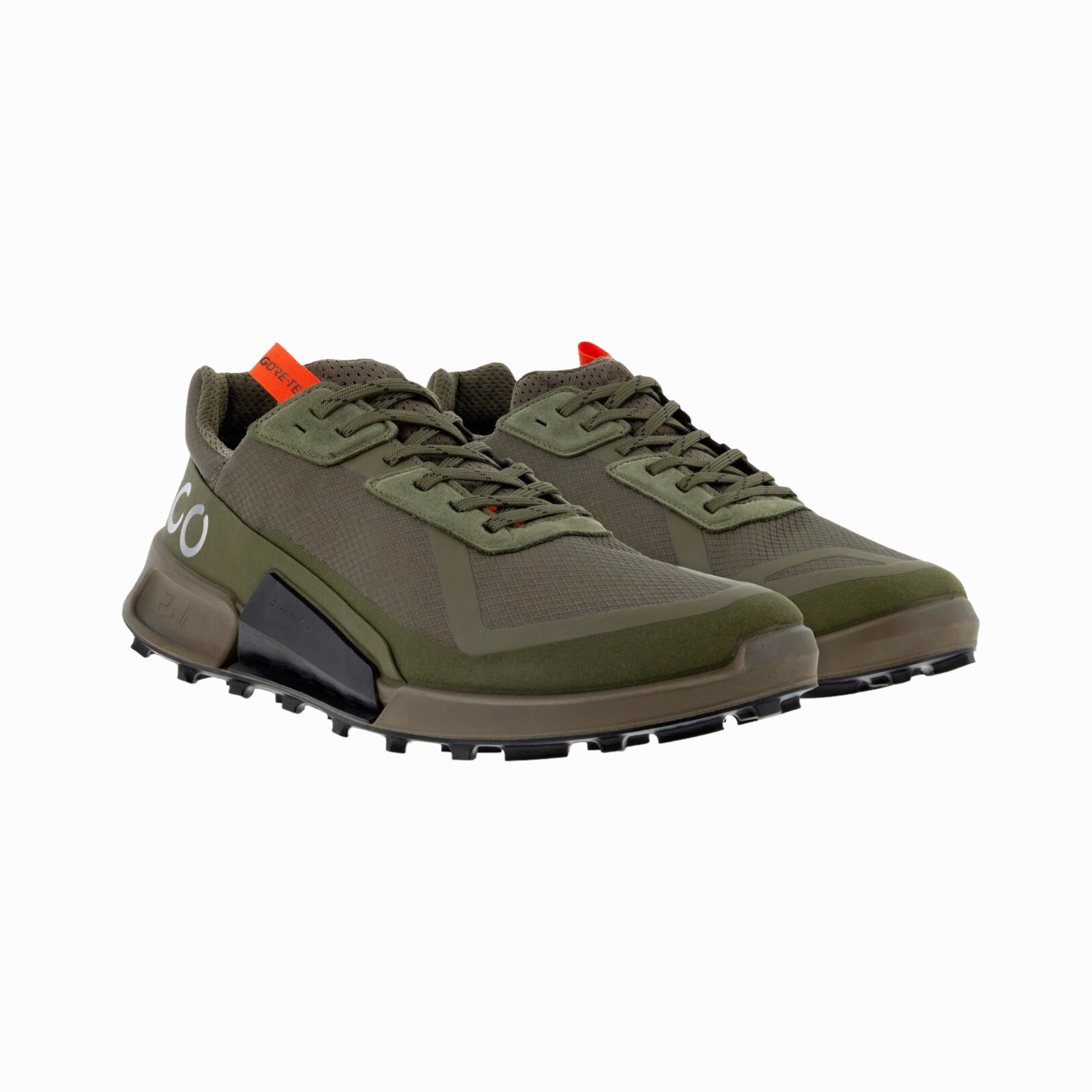 Biom 2.1 GTX Low