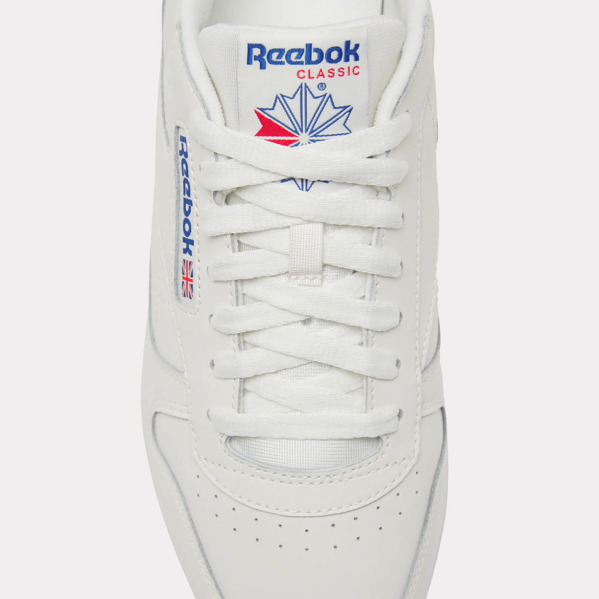 Classic Leather Shoes