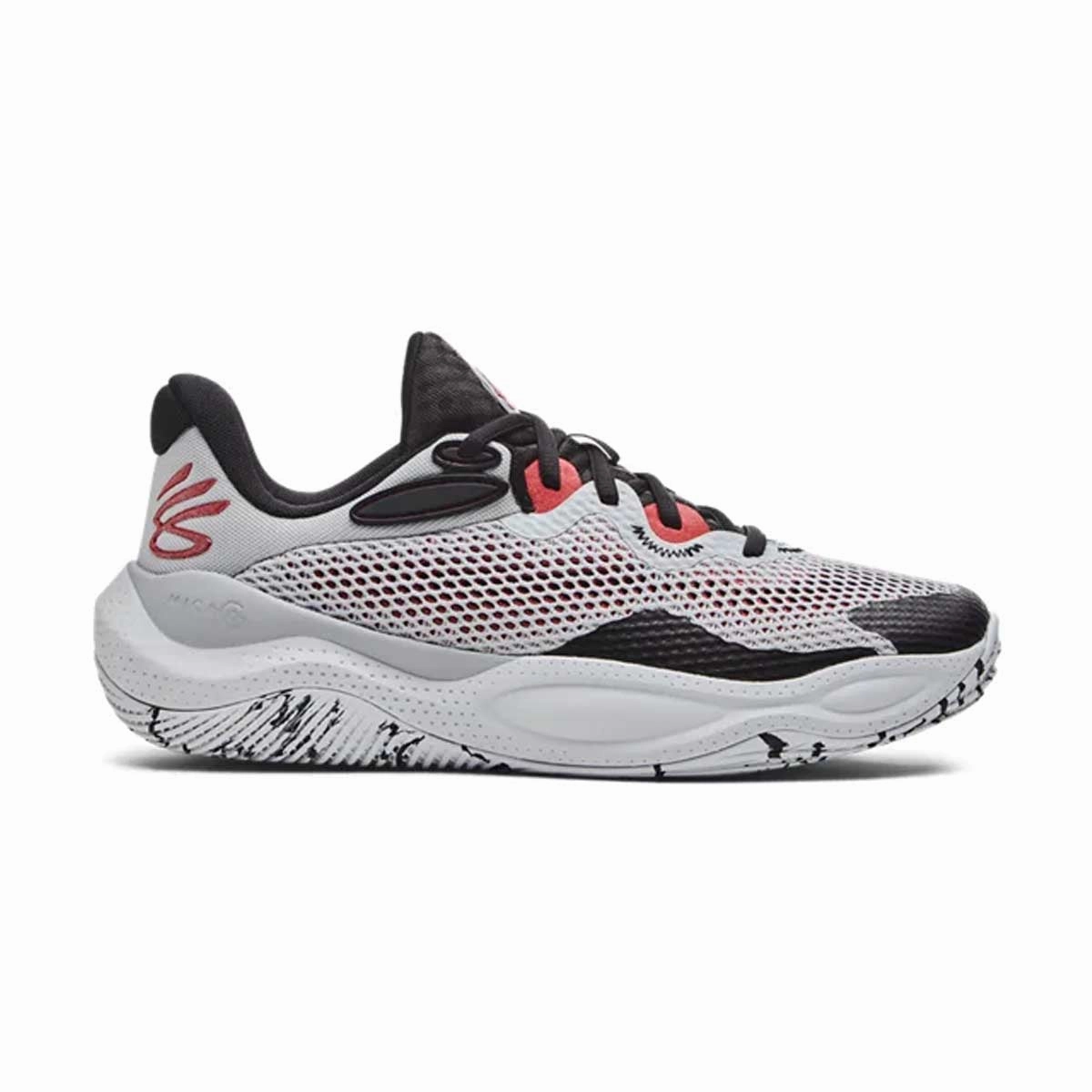 Curry Splash 24 AP 'Halo Grey'