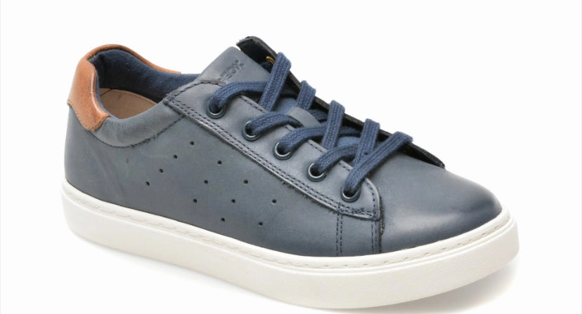 Geox Nashik Navy Brown Sneakers