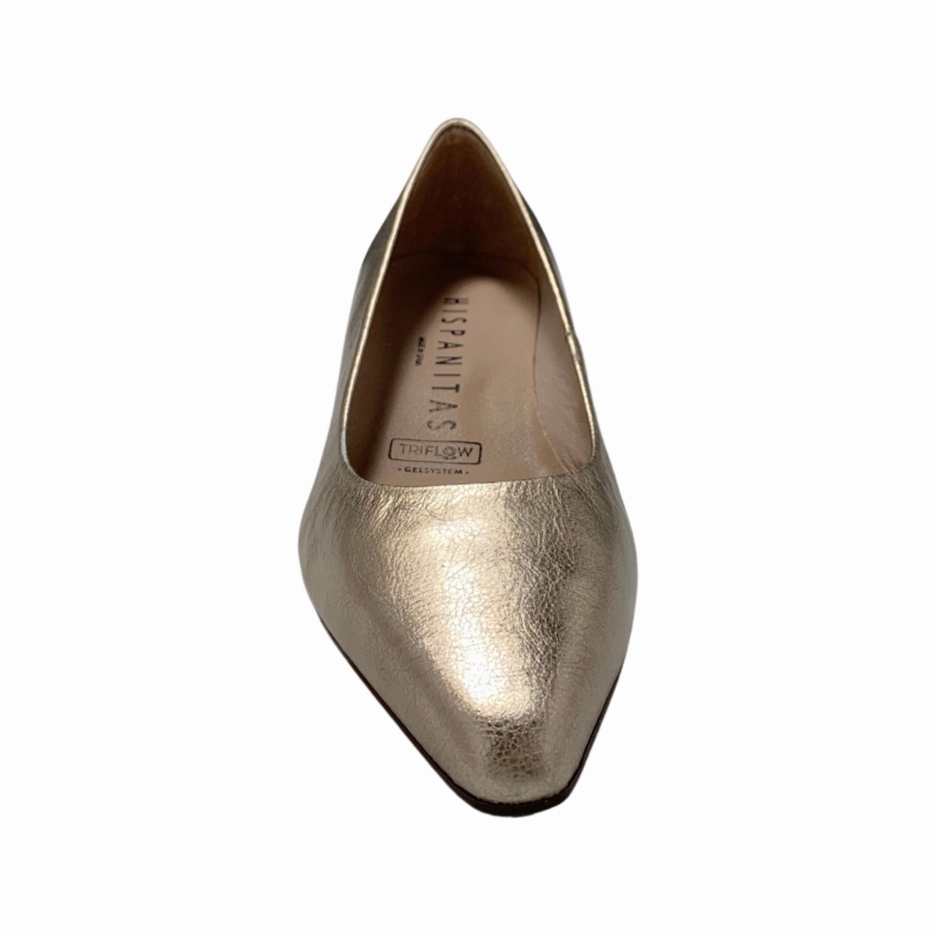 HV252529 Sahara Gold Pump