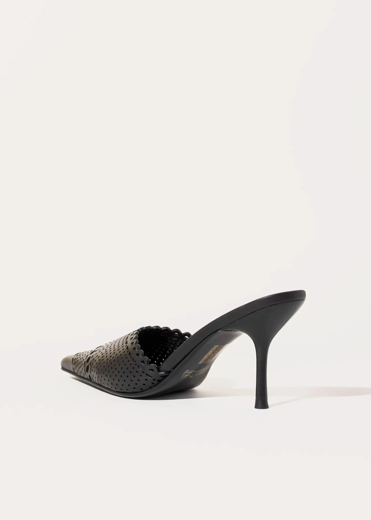 Iryna Pointed Toe Mule