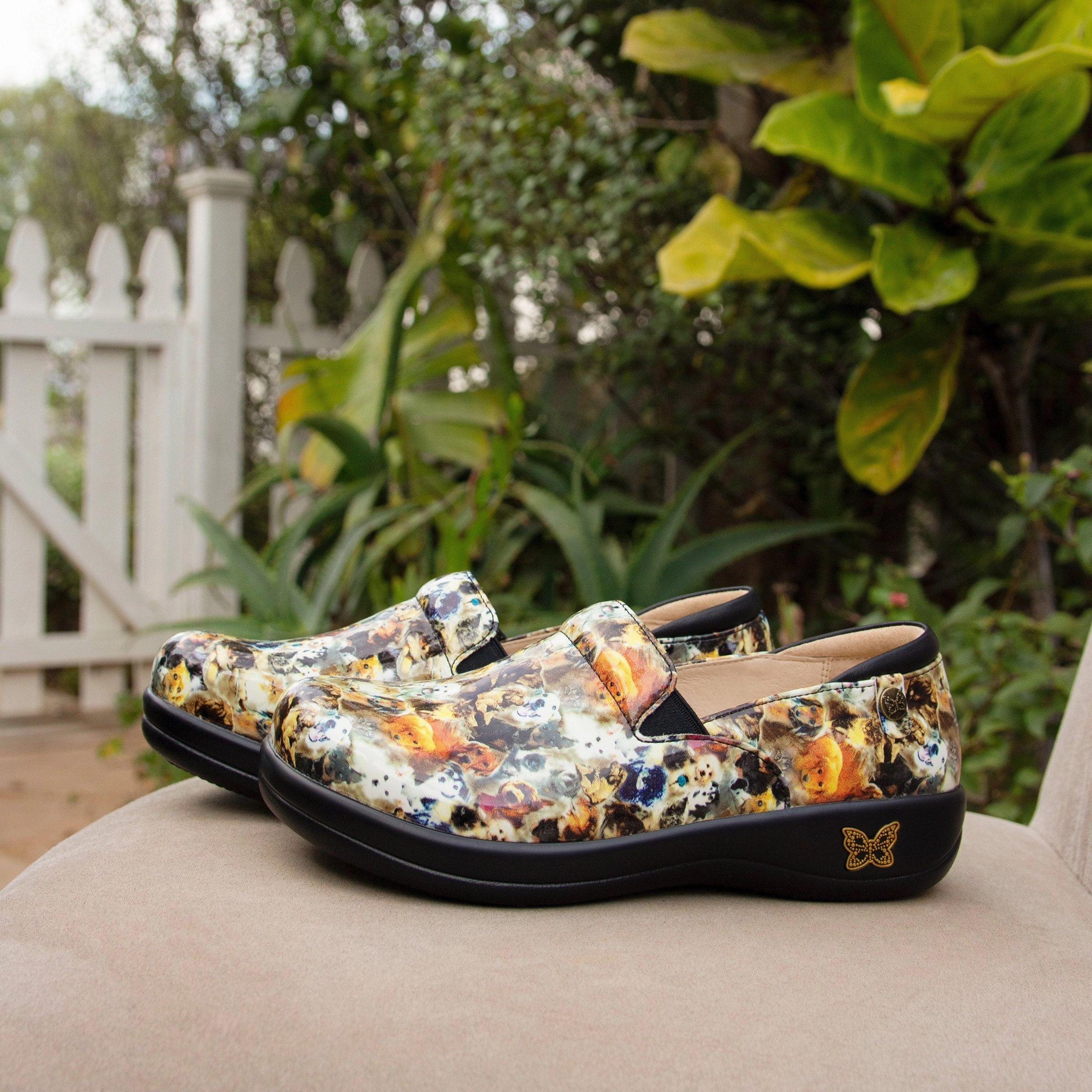 Keli Paws up Shoe