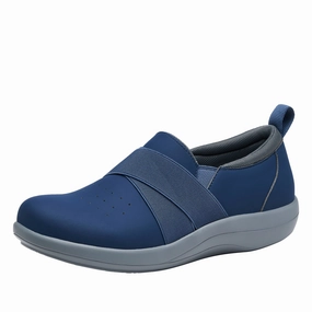Savvie Navy Shoe