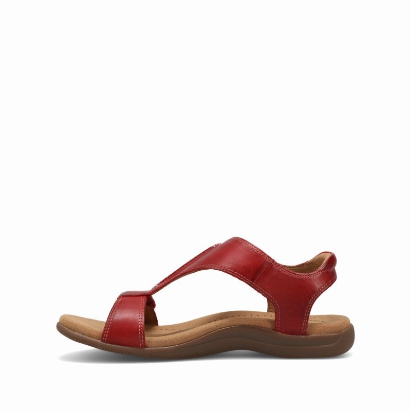 Taos Women's The Show - Red