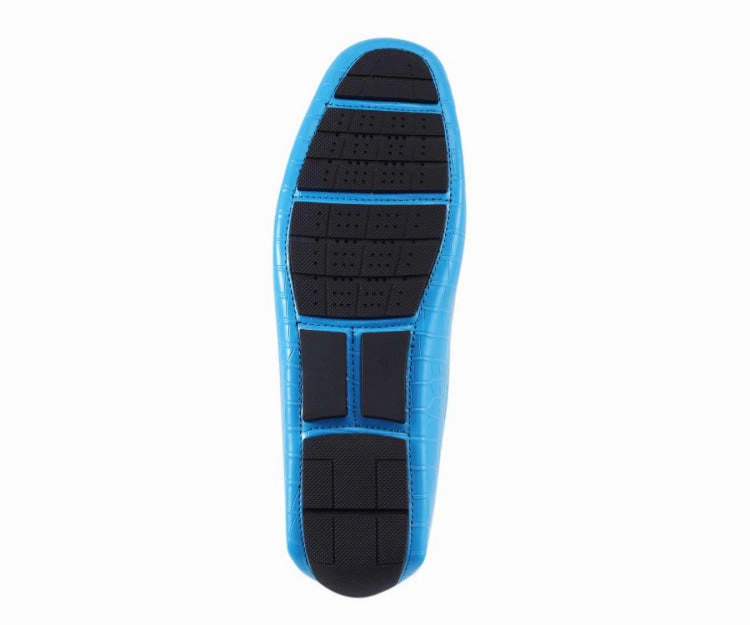 Titus Pool Blue