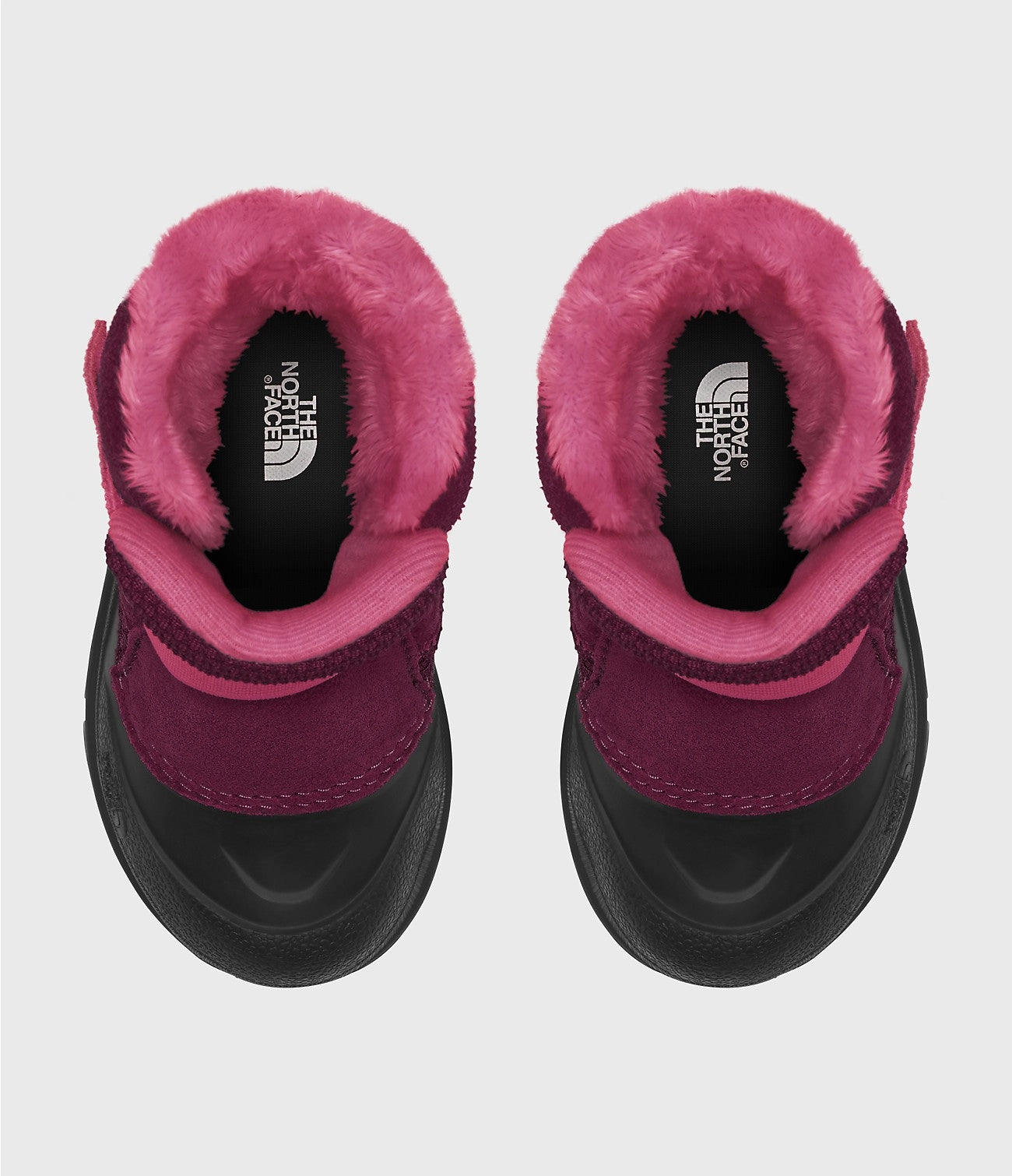 Toddler Alpenglow II - Boysenberry/TNF Black
