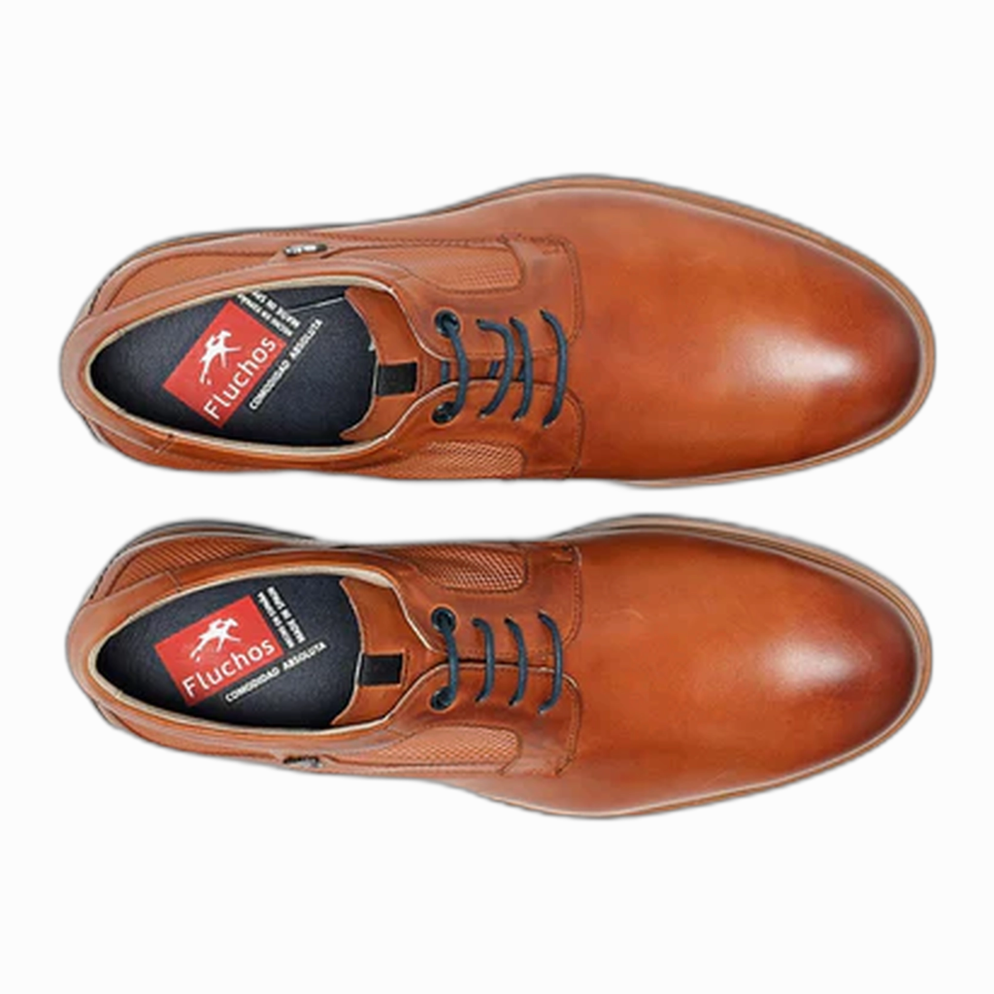Tristan F1744